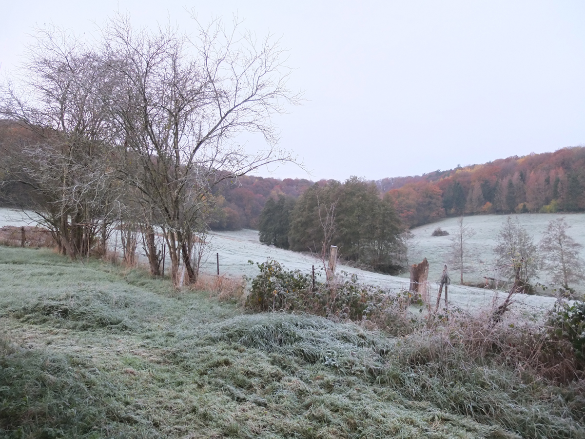 photo de la vallée en hiver